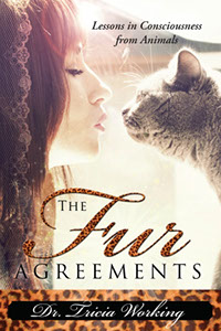 The Fur Agreement Book link